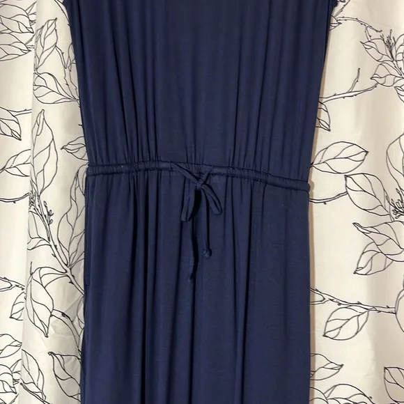 Banana Republic Sleeveless Dress NWT!! - Picture 4 of 8